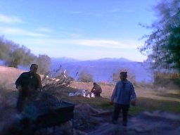 harv01_50191001286_o