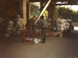 old109_50191063621_o