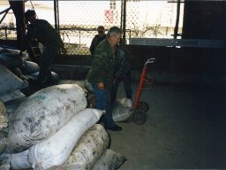 old110_50190517348_o