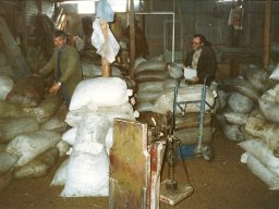 old113_50191063711_o