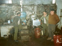 old117_50190517483_o