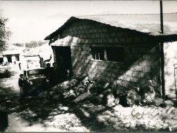 old118_50191322397_o